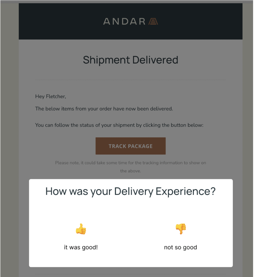 Delivery-Surveys-Wonderment-Email Delivery-Surveys-Wonderment-Email