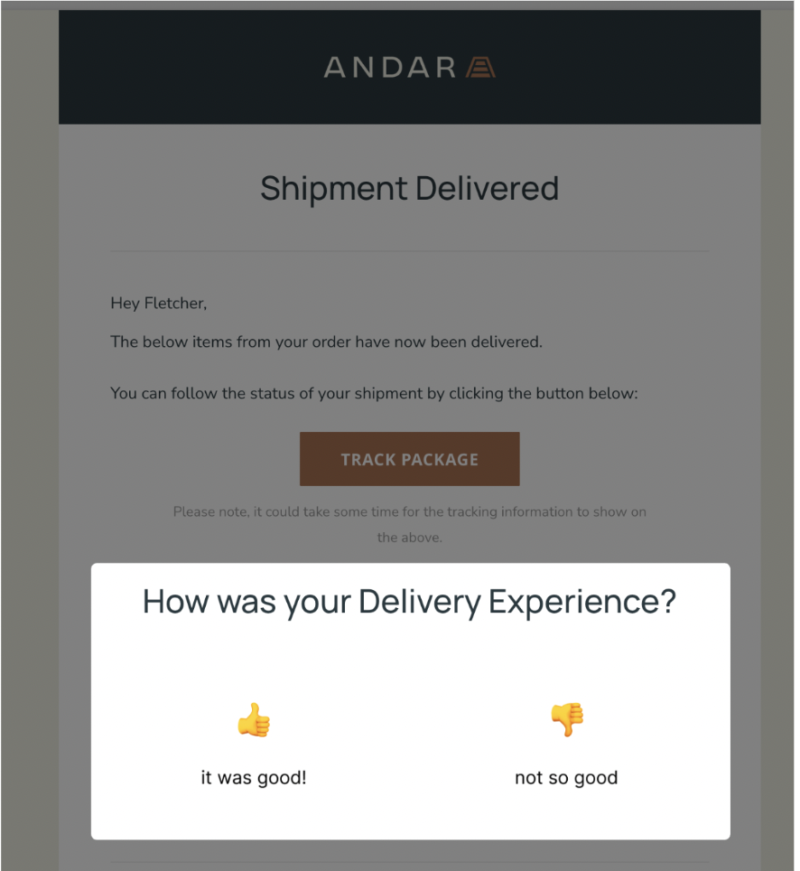 Delivery-Surveys-Wonderment-Email