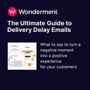 The Ultimate Guide To Delivery Delay Emails-2