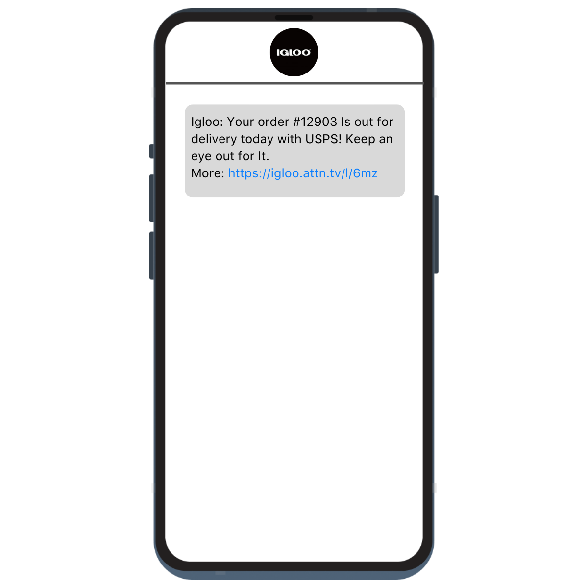 Igloo  Industry SMS screenshot