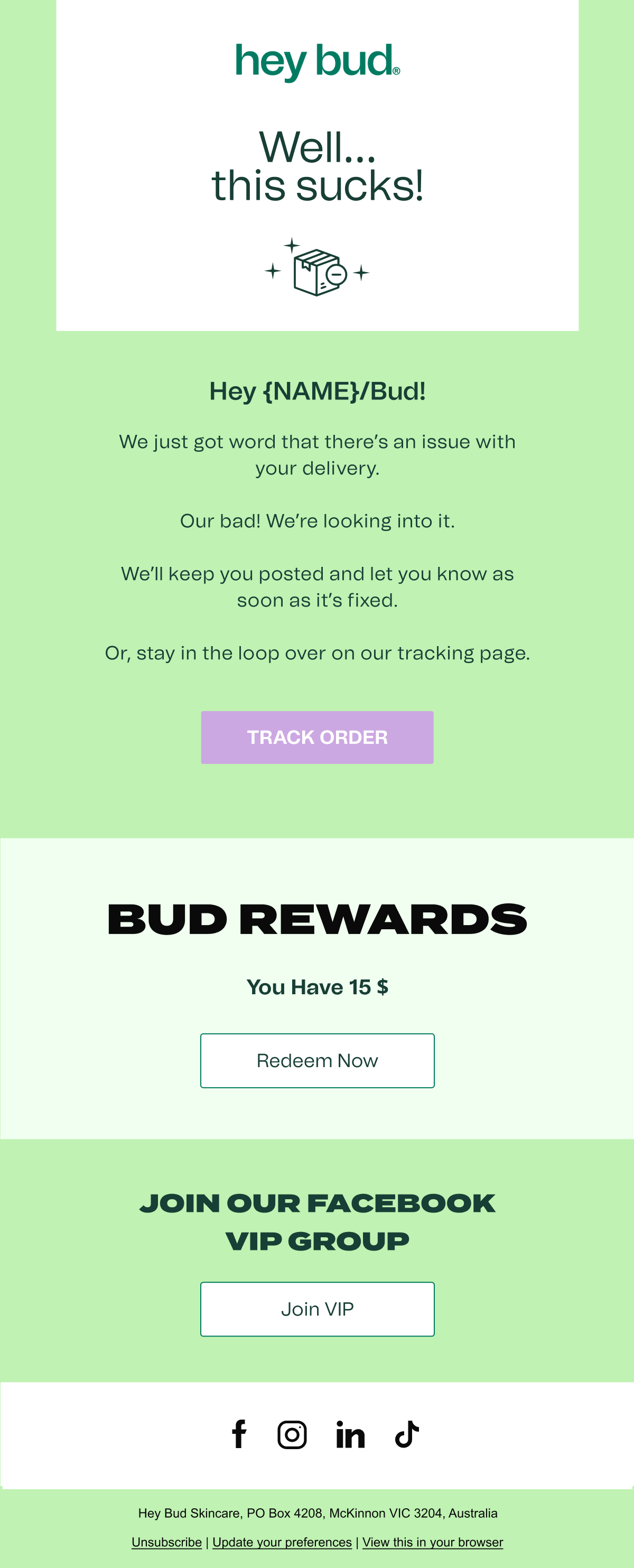 Hey Bud Other Delivery Issues Cosmetics and Beauty Email Template 