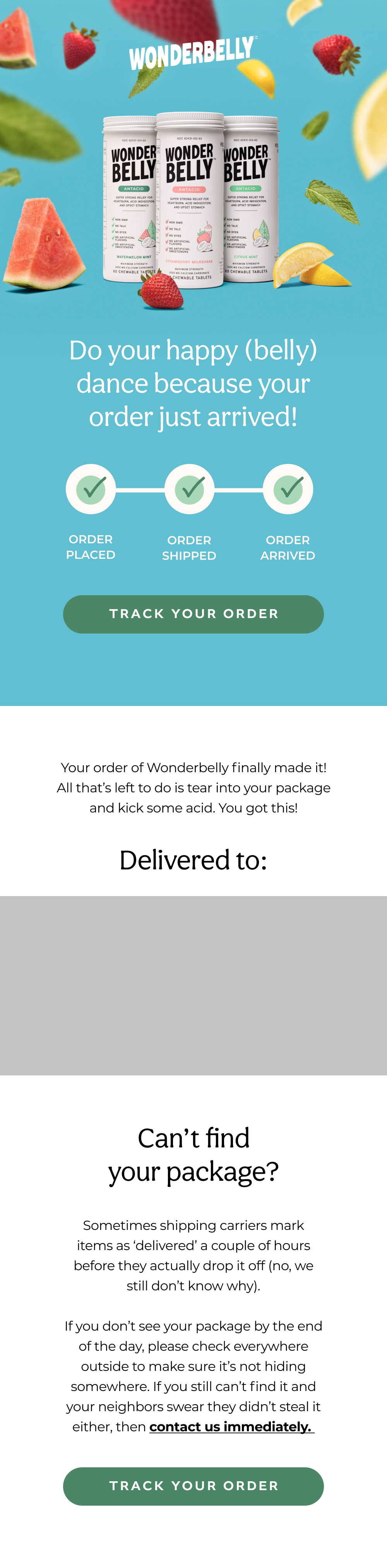 Wonderbelly Delivered Notification Industry Email Template screenshot
