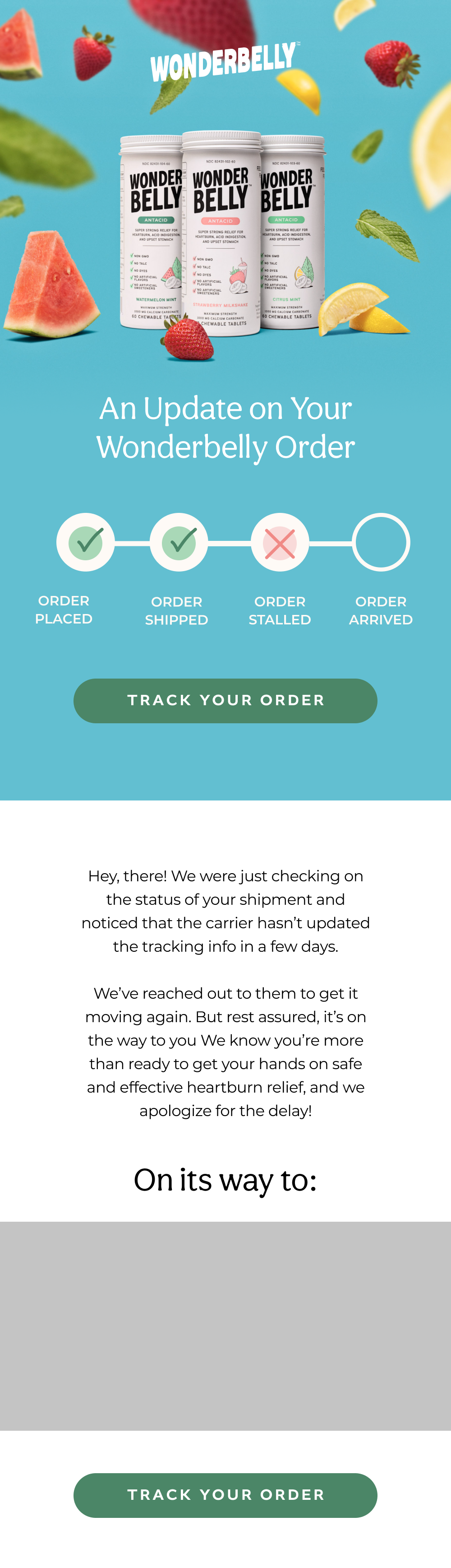 Wonderbelly Delayed Shipment Notification Industry Email Template screenshot