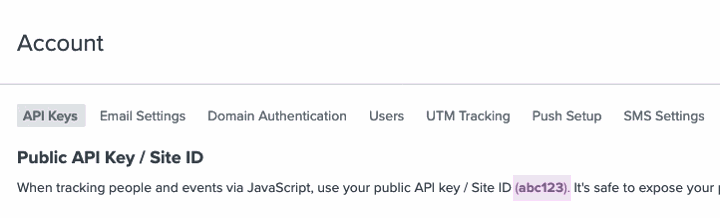 klaviyo api key