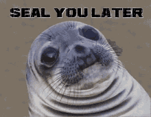 sealyoulater