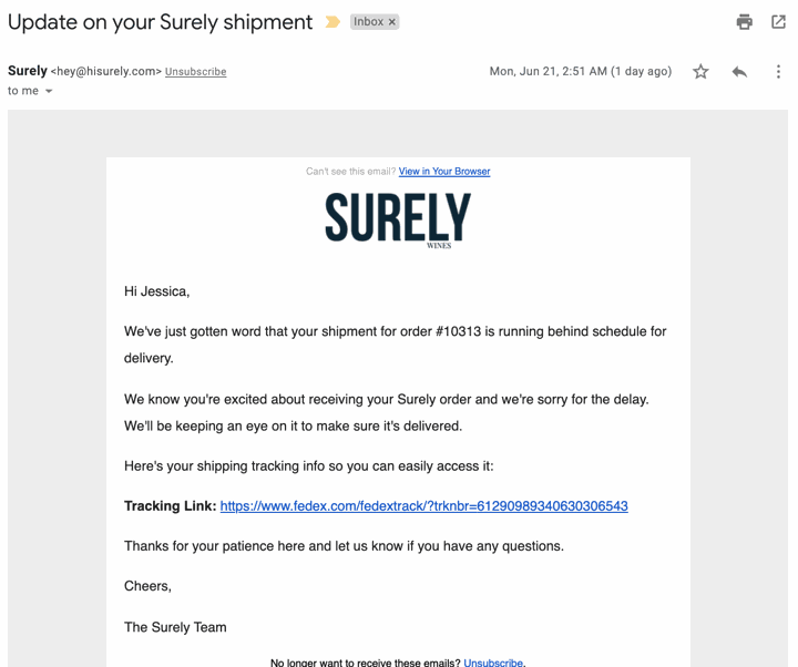 hisurely.com delayed email klaviyo