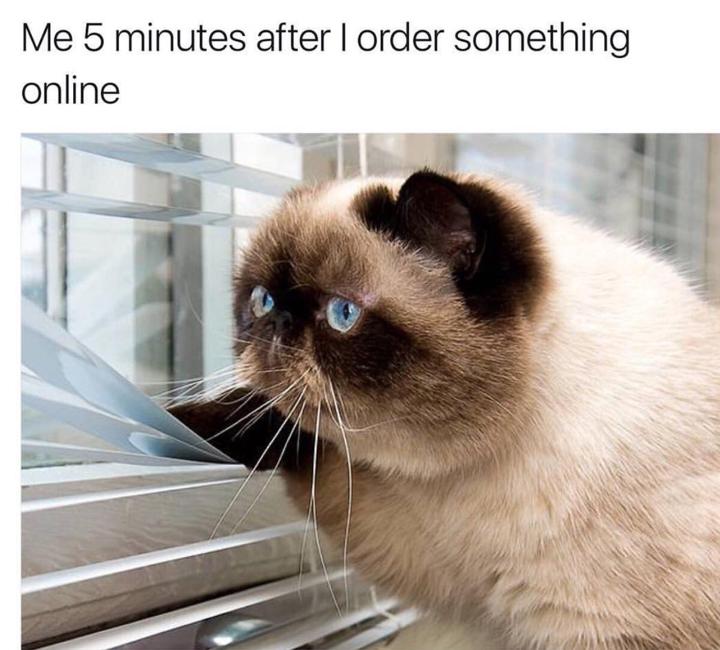 waiting for online order meme