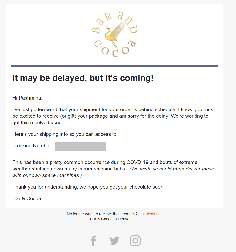 Bar and Cocoa Delayed Shipment Notification Industry Email Template screenshot