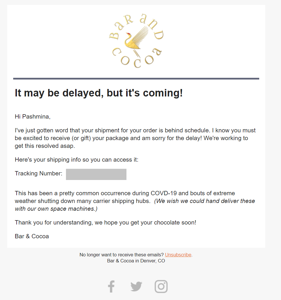 Bar and Cocoa Delayed Shipment Notification Food and Beverage Email Template 