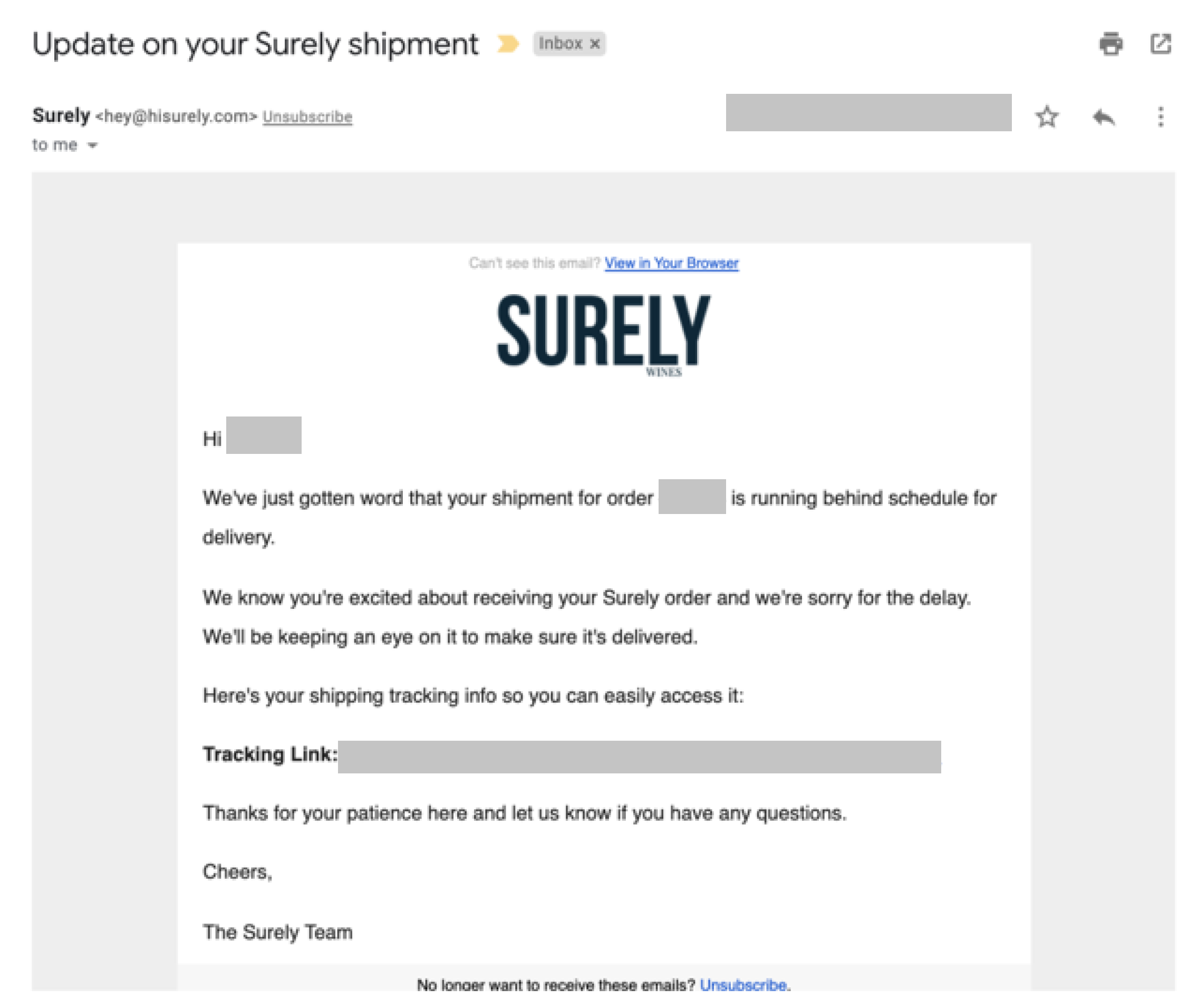 Surely Delayed Shipment Notification Industry Email Template screenshot