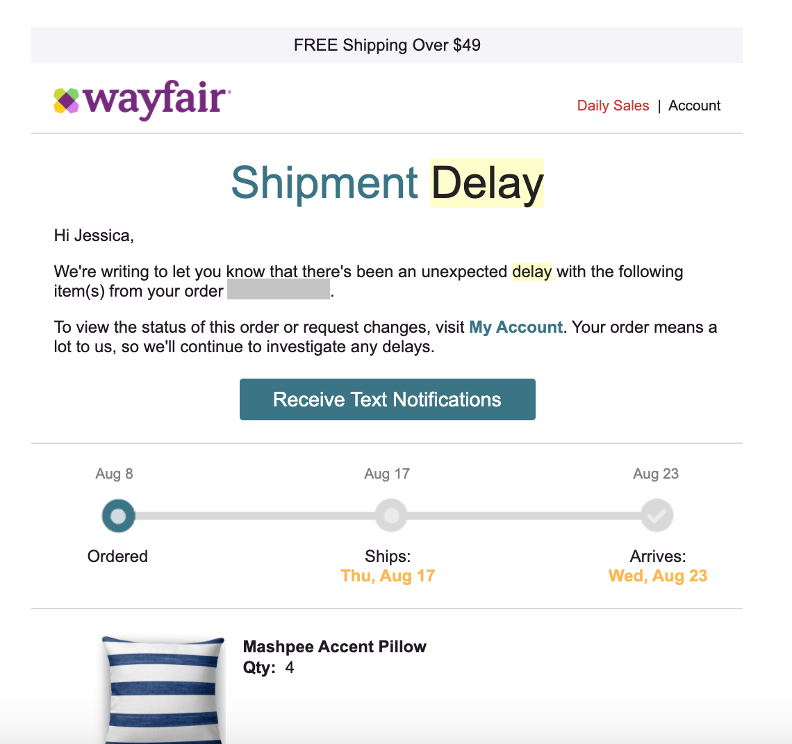 Wayfair Delayed Shipment Notification Industry Email Template screenshot